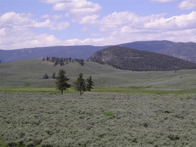 images/Cookout trip.jpg